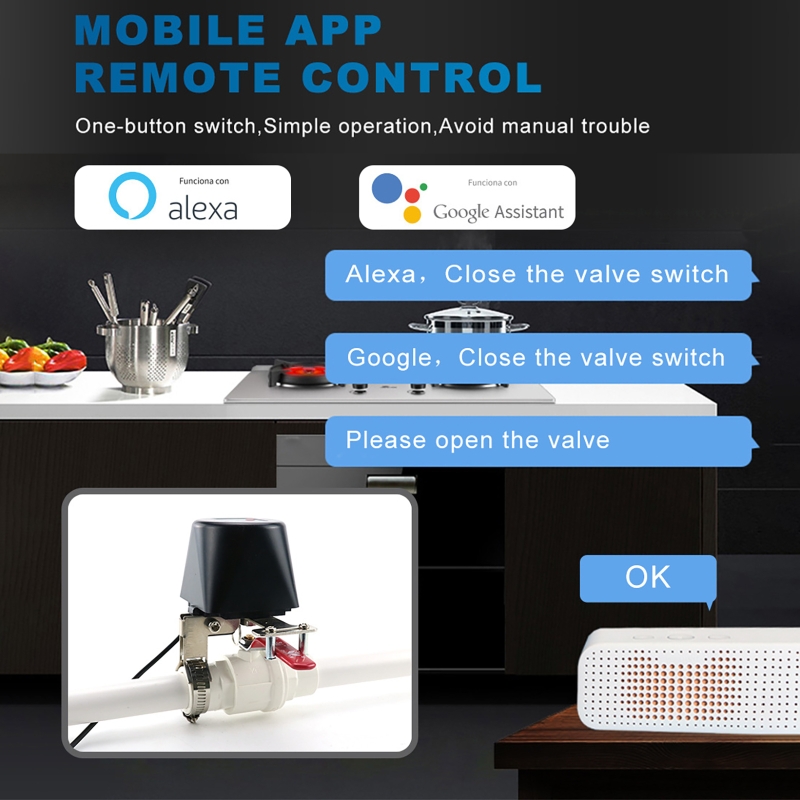 투야 스마트 가스 밸브 WIFI 정원 물 차단 타이머  - Wifi Irrigation Timer 리뷰 및 가격